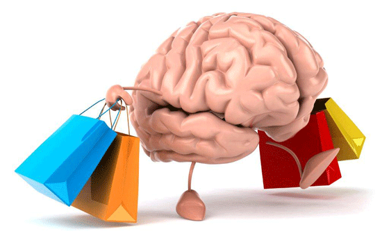 How Our Brain Determines if the Product is Worth the Price | HBS Working Knowledge