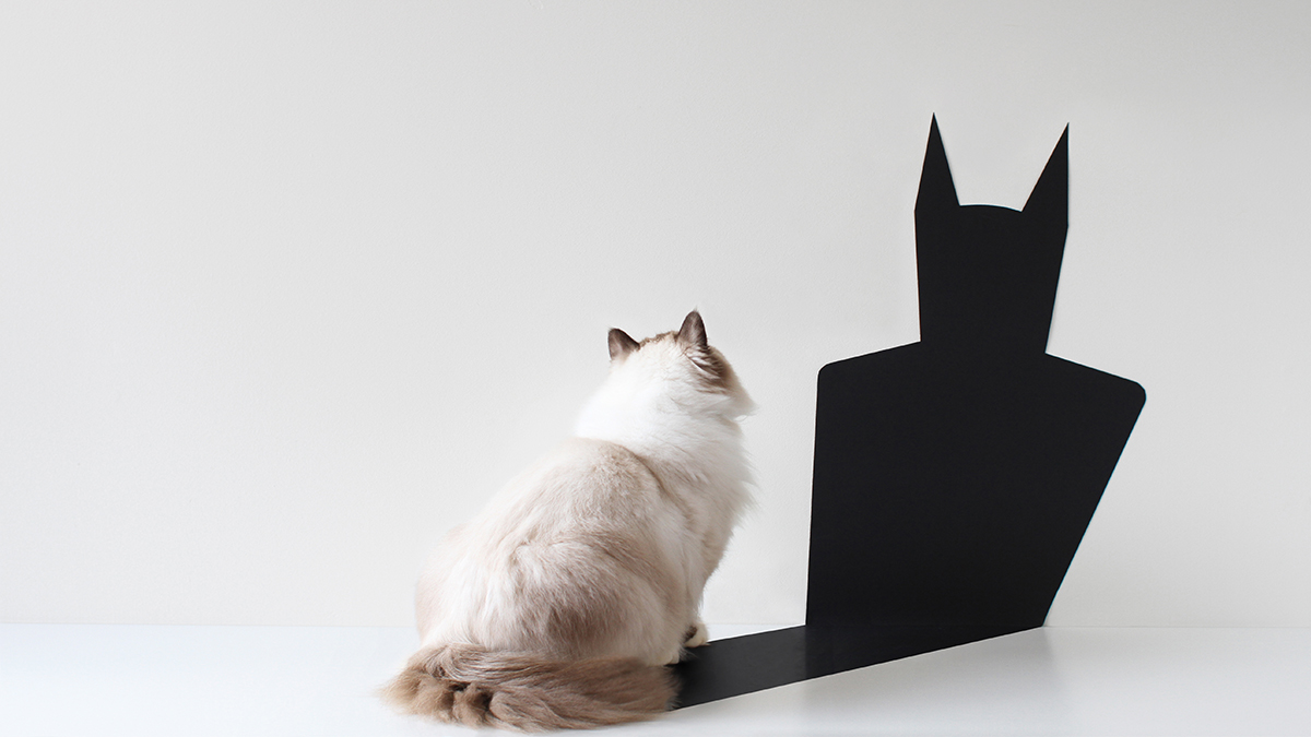Pricing Needs to Reflect Who People Want to Be, Not Just What They Want | Harvard Business Review