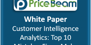 White Paper: Customer Intelligence Analytics – 10 Mistakes Firm Make | PriceBeam