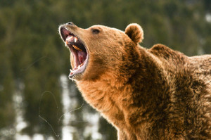 Blog: Don’t Make Your Customers Angry | Strategic Pricing Solutions
