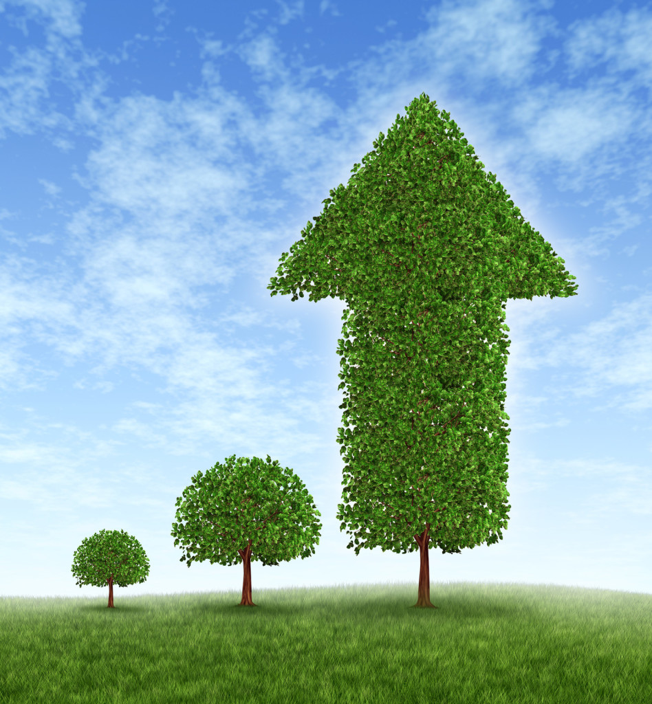 Incremental Investments in Pricing Yield Big Returns| Strategic Pricing Solutions